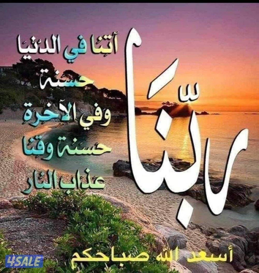 مندوب عام مصري خبرة أكثر من 10سنوات يطلب عمل0