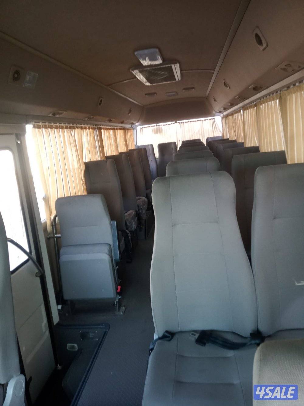 جولدن باص 20264