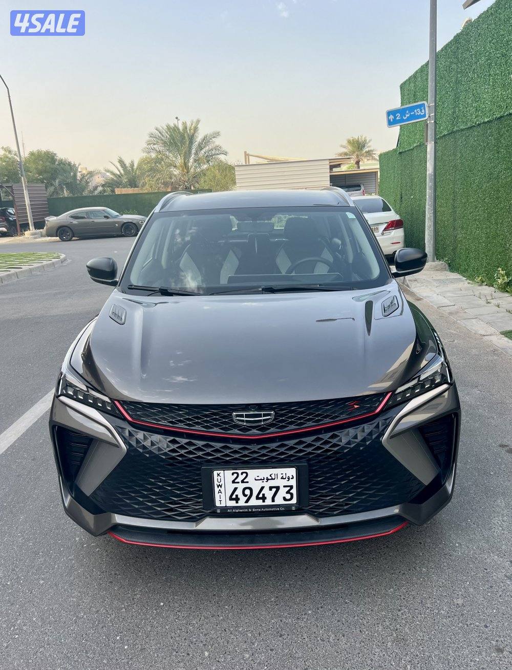 جيلي كولراي 2024 شرط الفحص صبغ الوكالة5