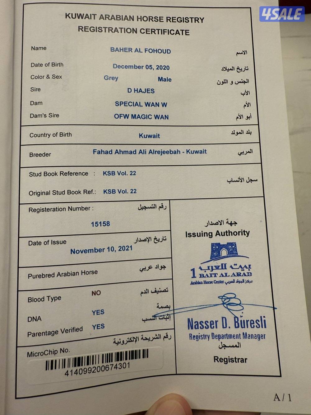 ولد الفونزو / شاهين البستان/ دي هاجس2