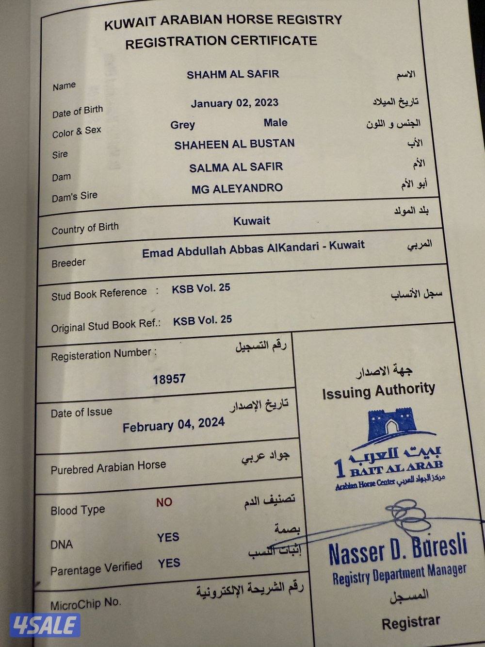 ولد الفونزو / شاهين البستان/ دي هاجس4