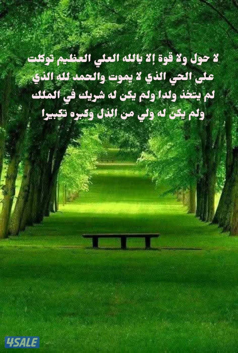 بفضل الله شاب مصري جامعي لدي ليسن خاصه وسيارة صالون أبحث عن عمل0