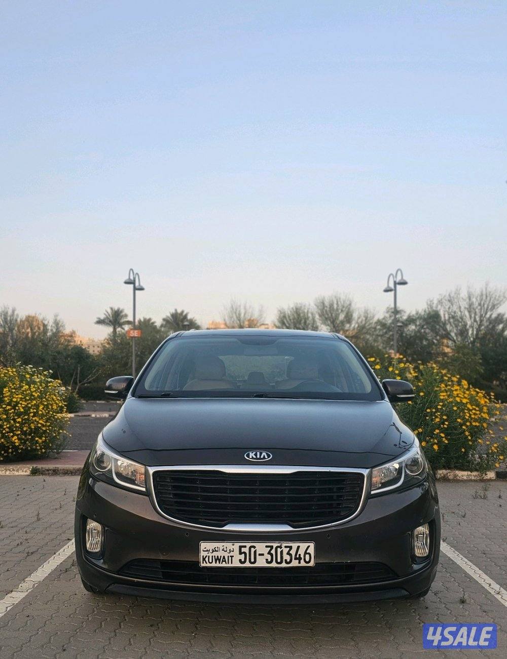 2018 شرط الفحص صبغ وكالة عدا قطعة12