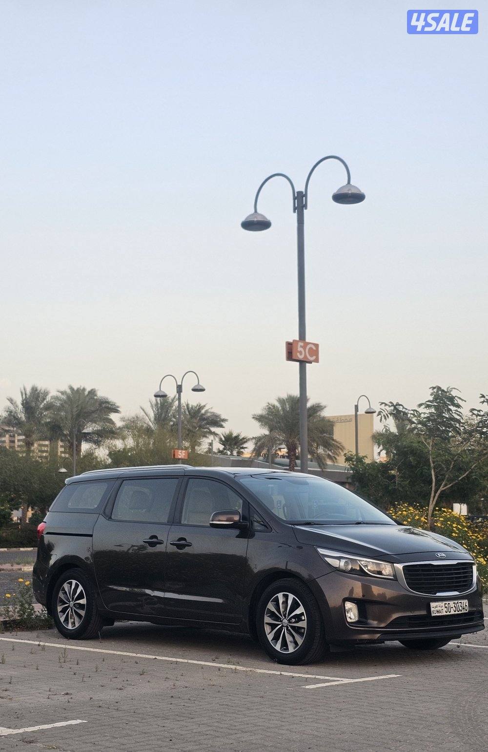 2018 شرط الفحص صبغ وكالة عدا قطعة13