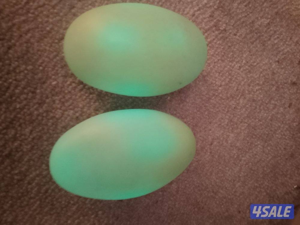 للبيع احجار الطاقة المضيئة الأصلية الخام1