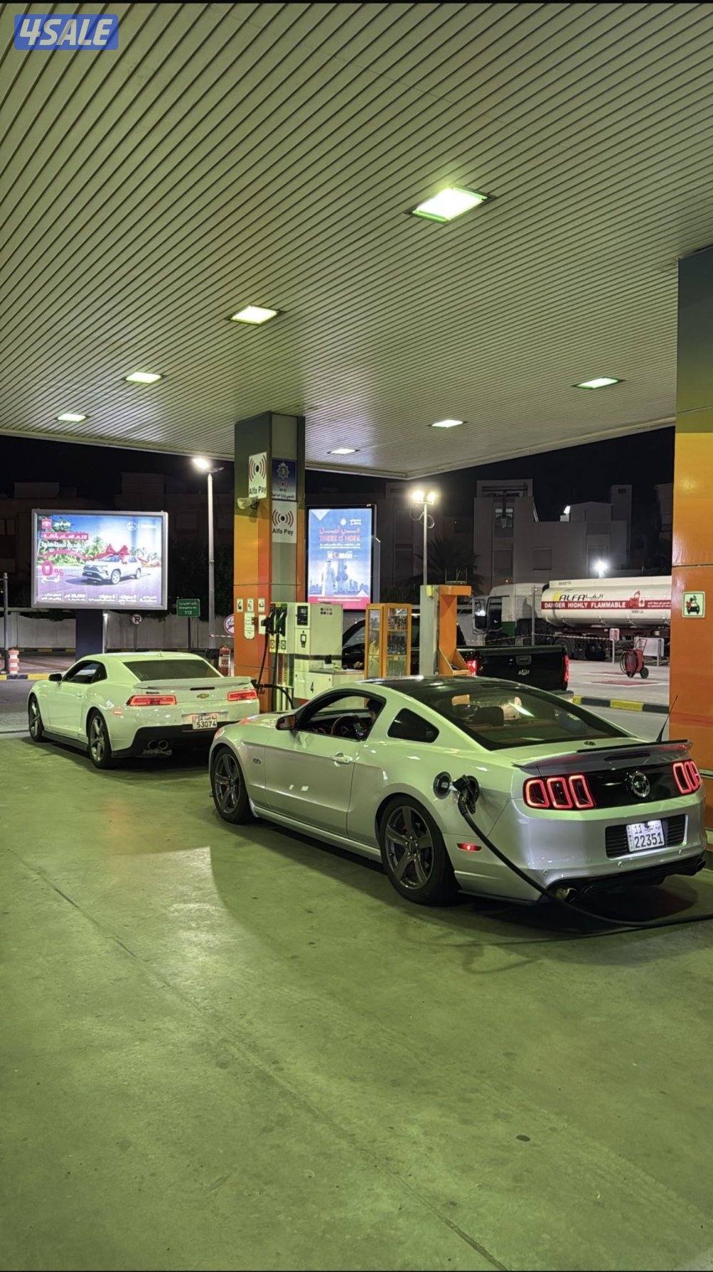 موستنق للبيع2