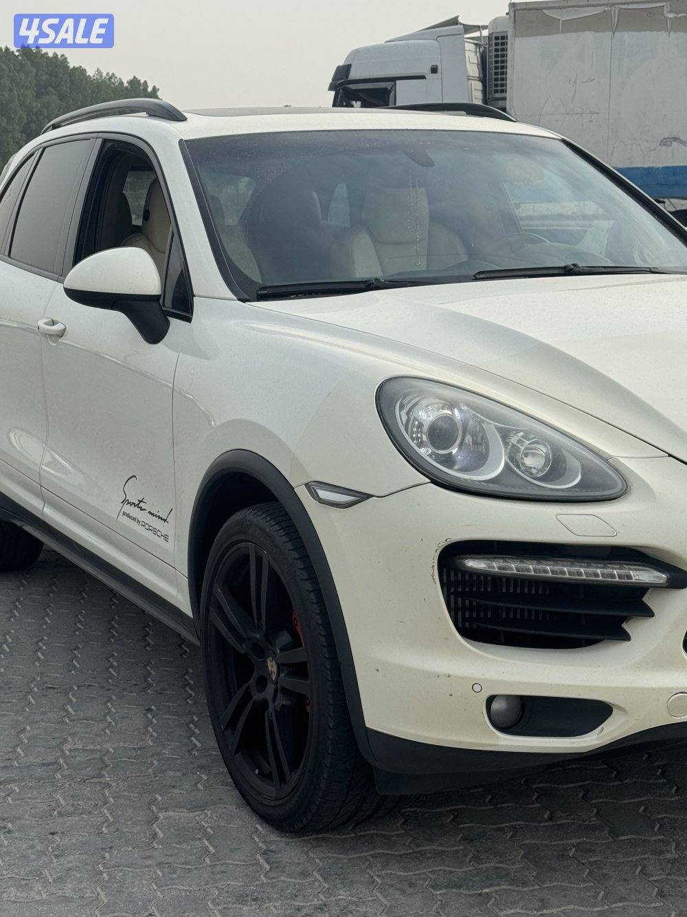 الكويت الفردوس1