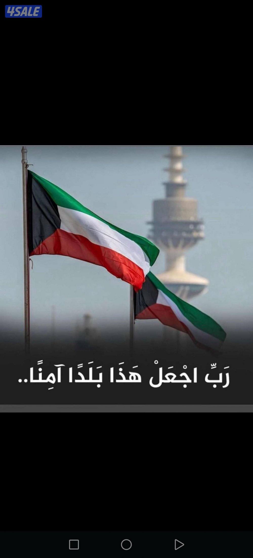 شراي الإبل جمله وتفريد ضغط عالي شي طيب وقعدان وبكار قصب0