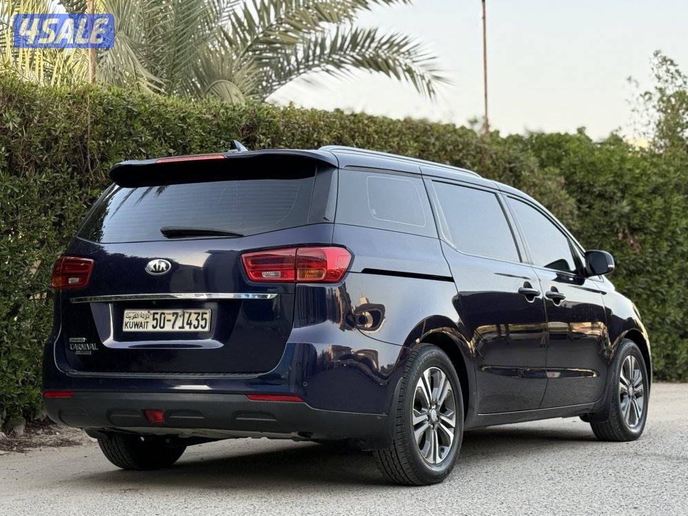 كرنفال بحالة صبغ الوكالة عدا قطعتين2