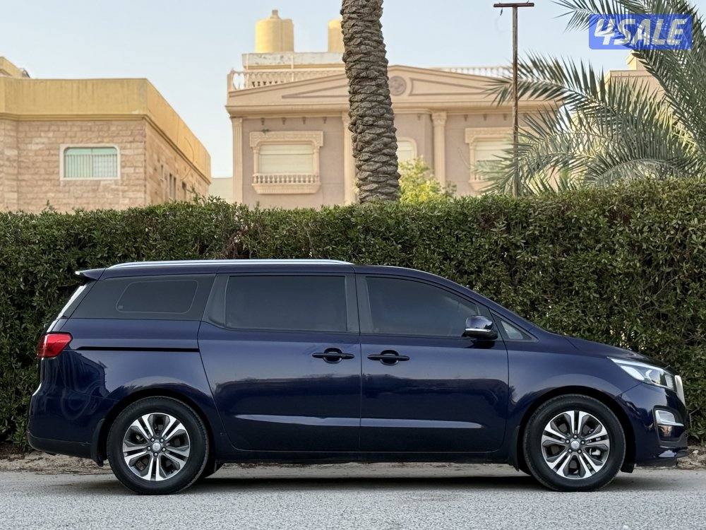 كرنفال بحالة صبغ الوكالة عدا قطعتين3