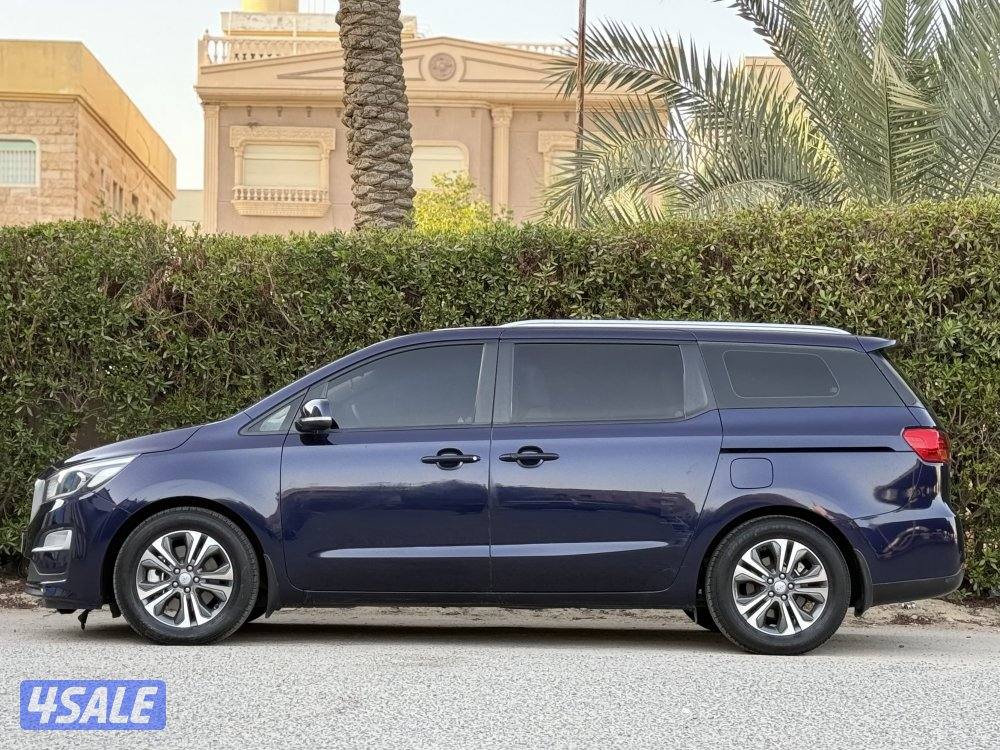 كرنفال بحالة صبغ الوكالة عدا قطعتين5