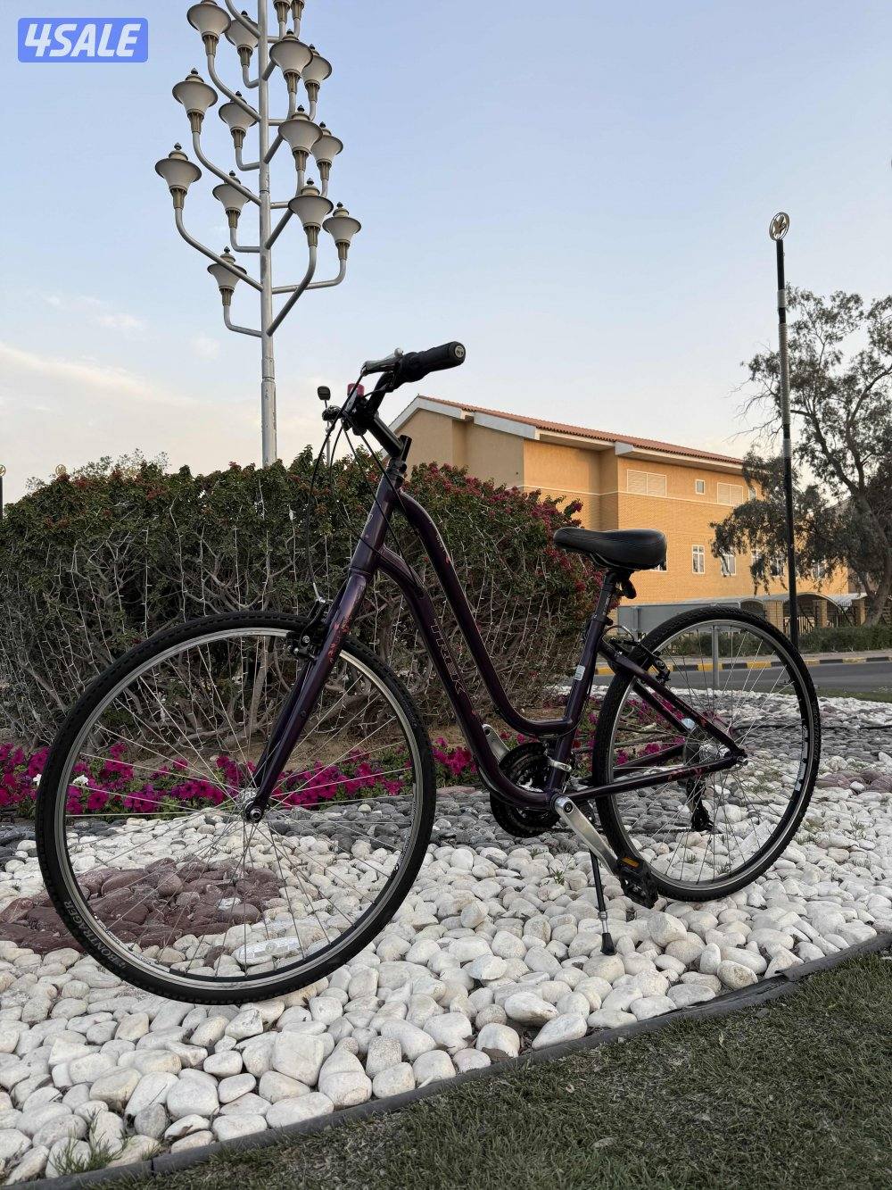 قاري TREK VERVE 1 للبيع0