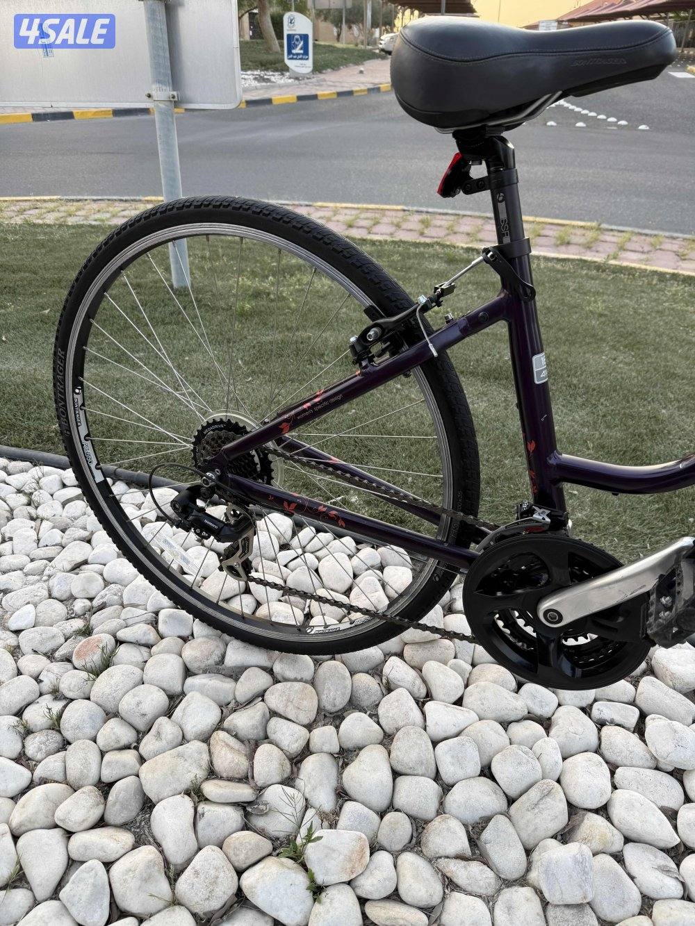 قاري TREK VERVE 1 للبيع3