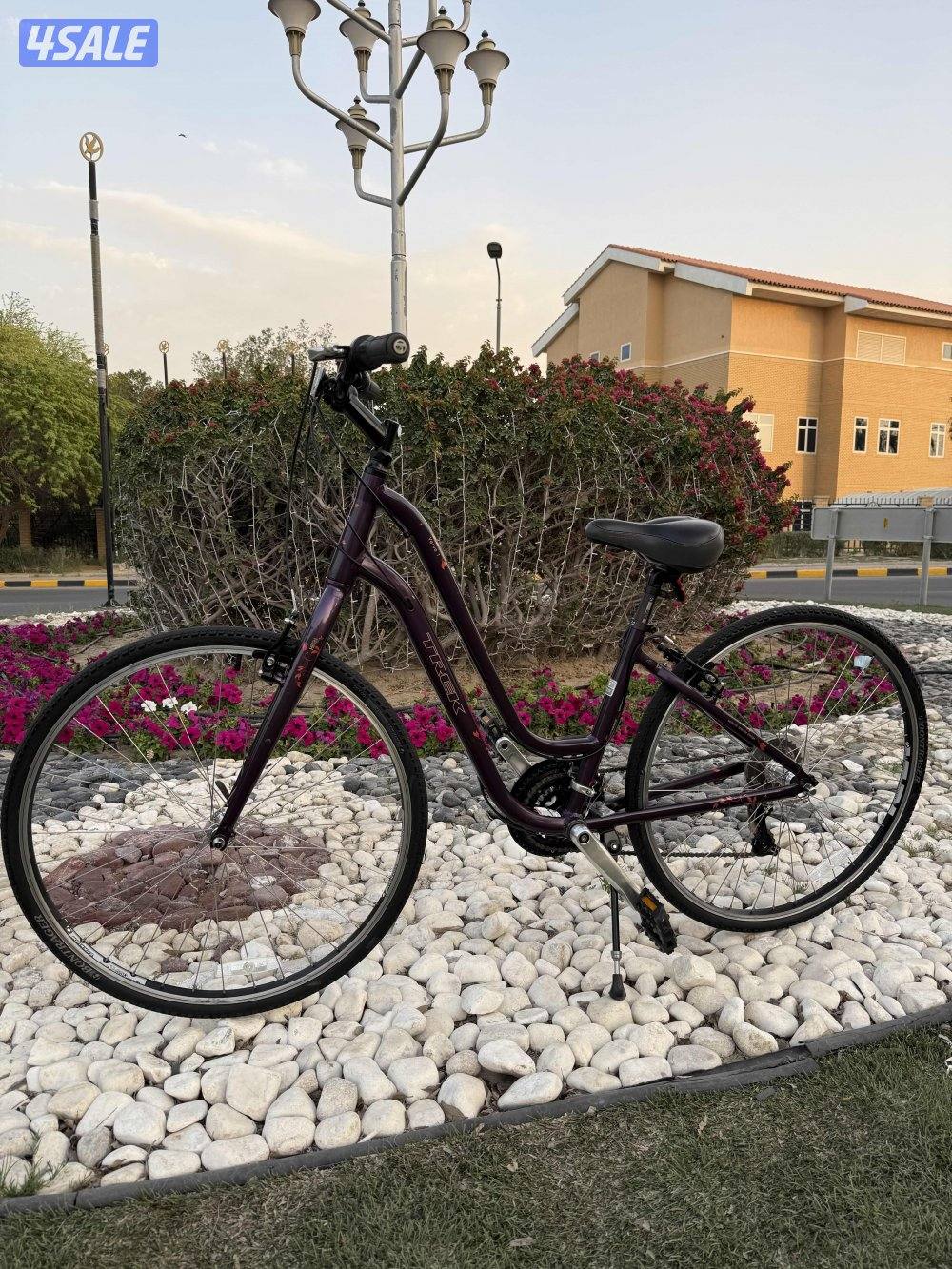 قاري TREK VERVE 1 للبيع4