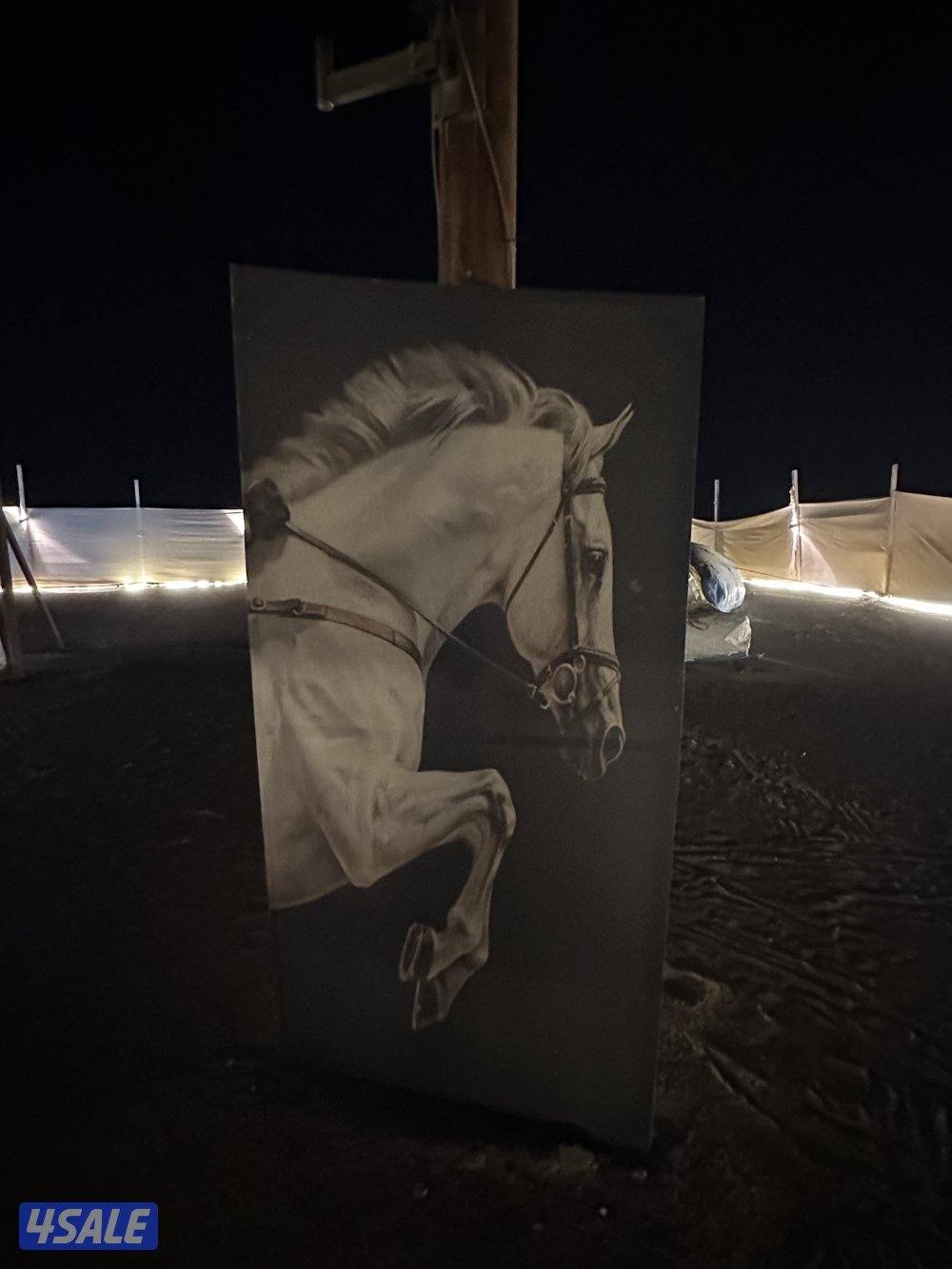 للبيع كشته مشروع مربح بيعه سريعه✅10