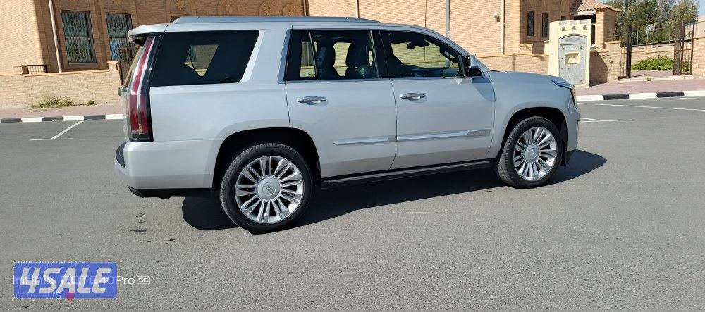 للبيع سكاليد بلاتينيوم ٢٠١٥3