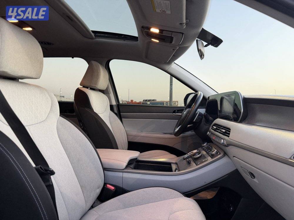 باليسايد 2020 بحالة المصنع3