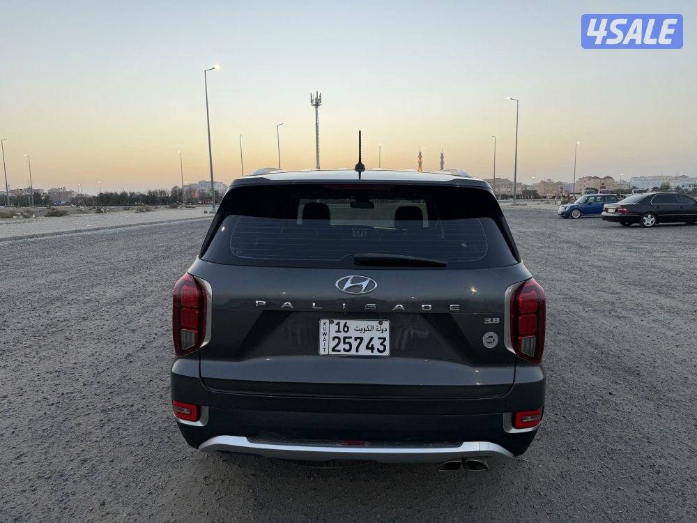 باليسايد 2020 بحالة المصنع10