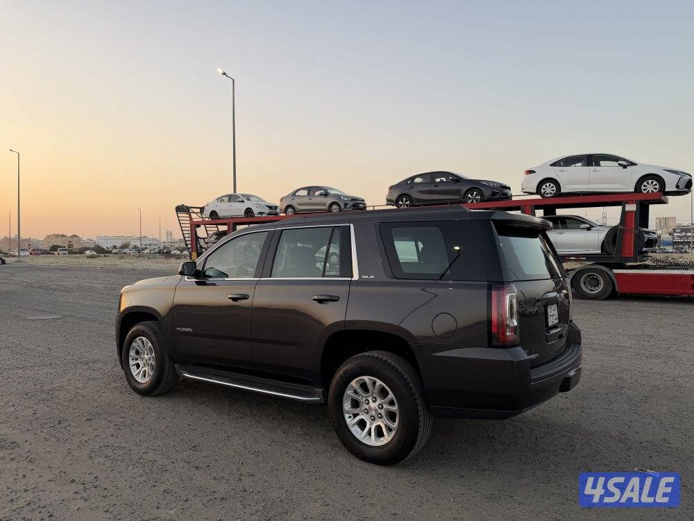 يوكن 2016 دبل صبغ وكالة0