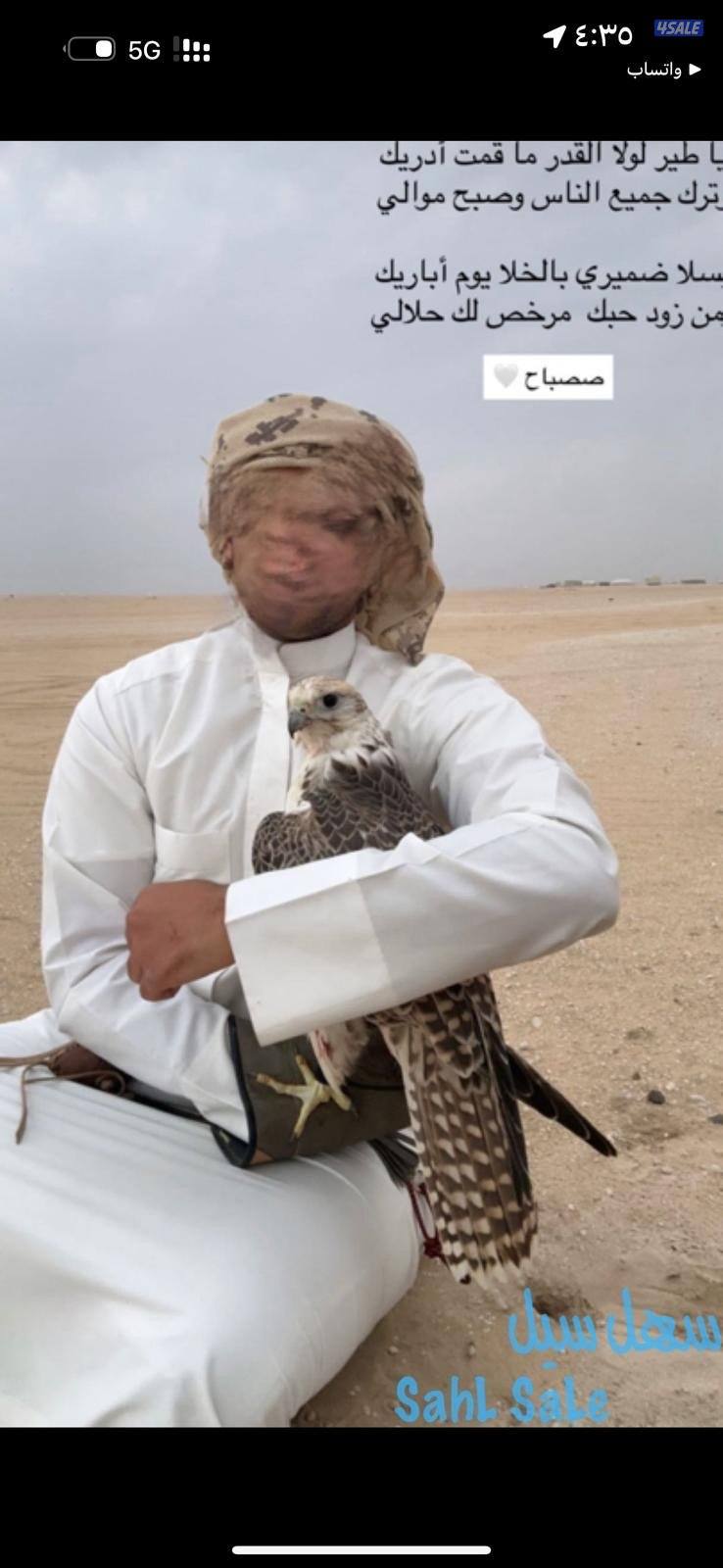 جير حر شركهه هاشم0