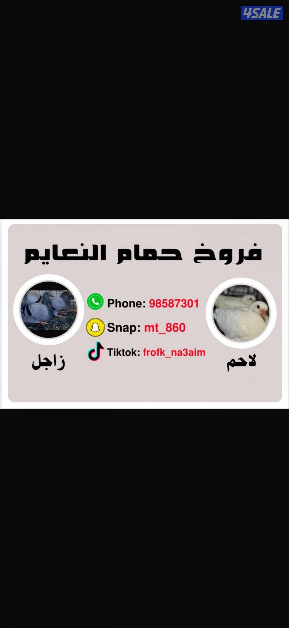 فروخ حمام النعايم0