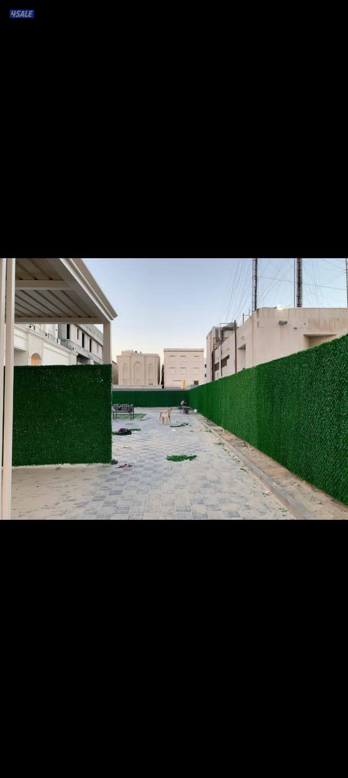 haddad Mohammad roni9