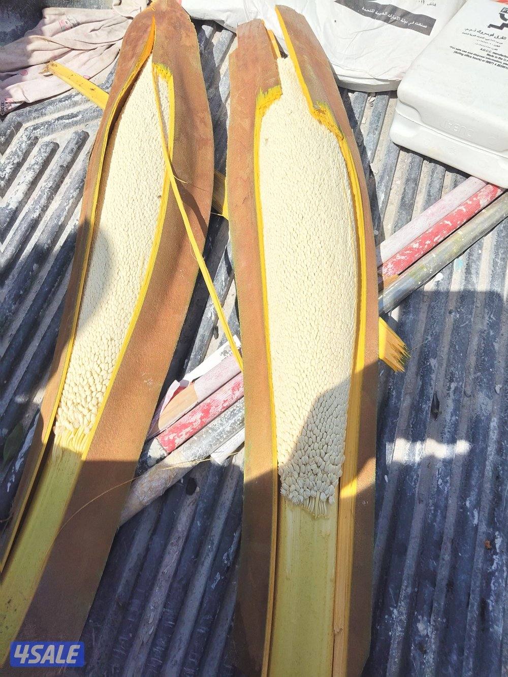 ابو علي للنخيل والزراعه تلقيح النخل0