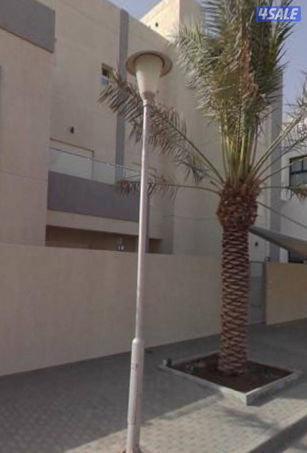 للاجارفيلا1