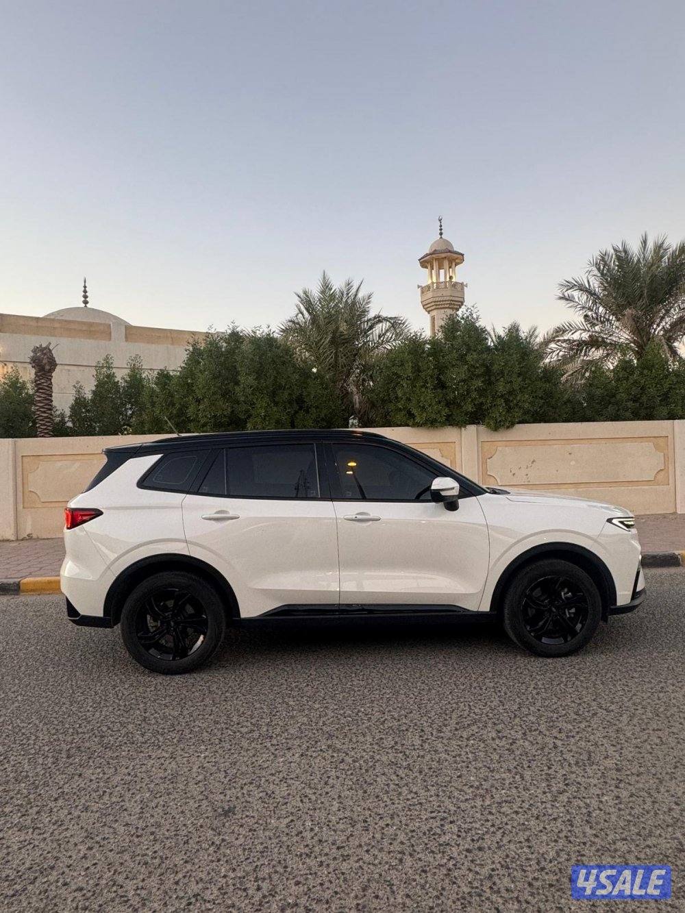 تيريتوري موديل 20231