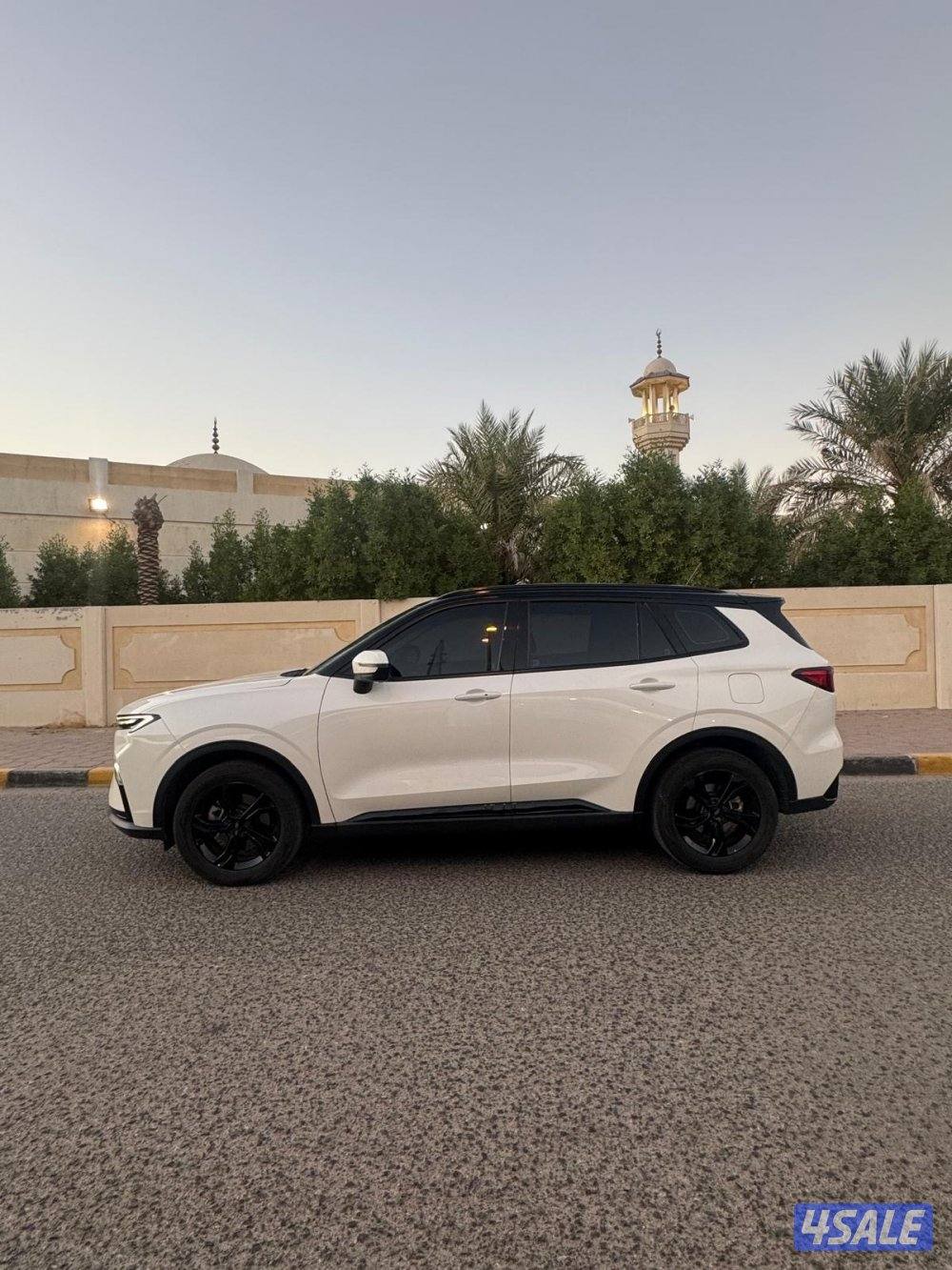 تيريتوري موديل 20233