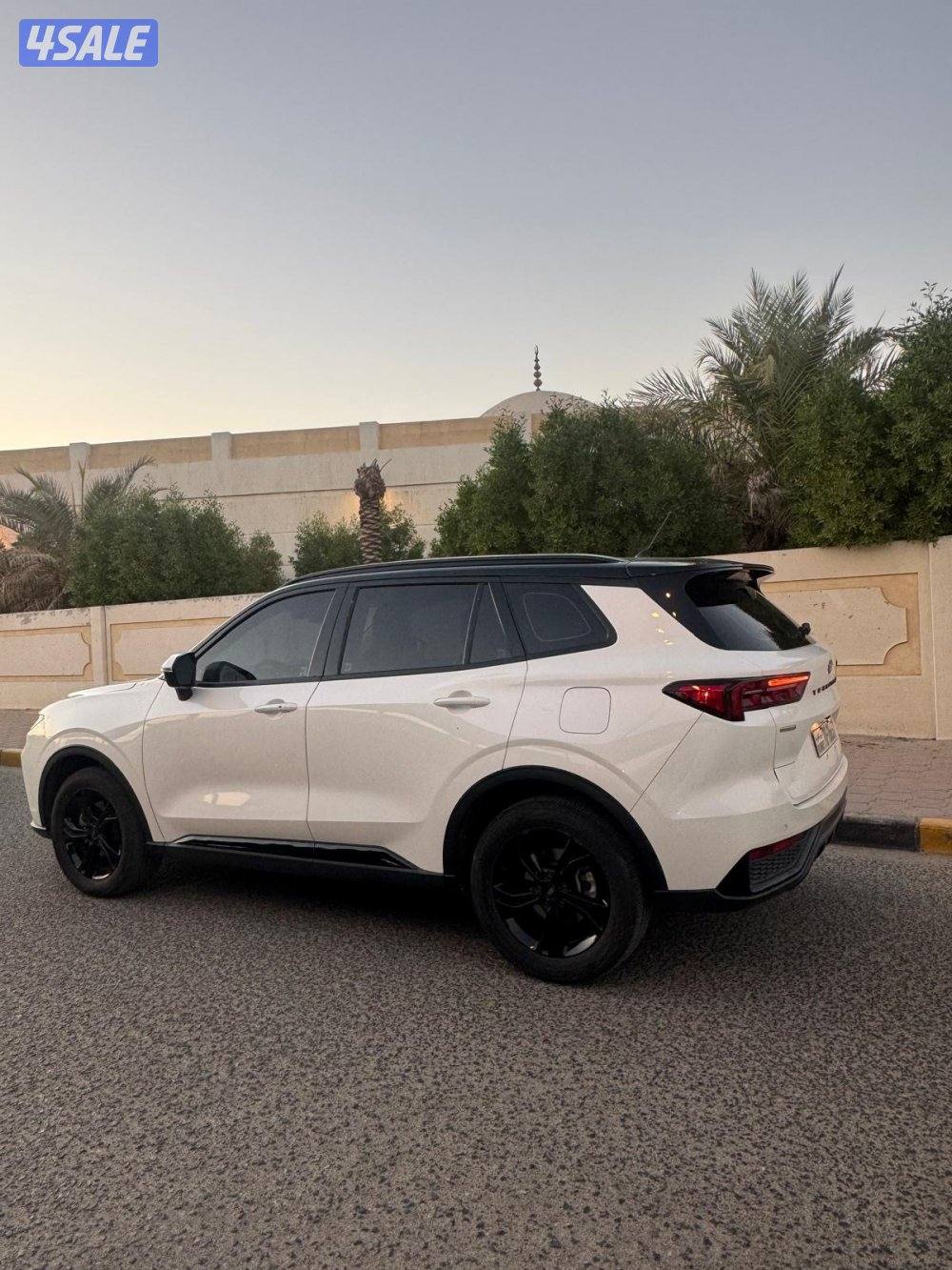 تيريتوري موديل 20235