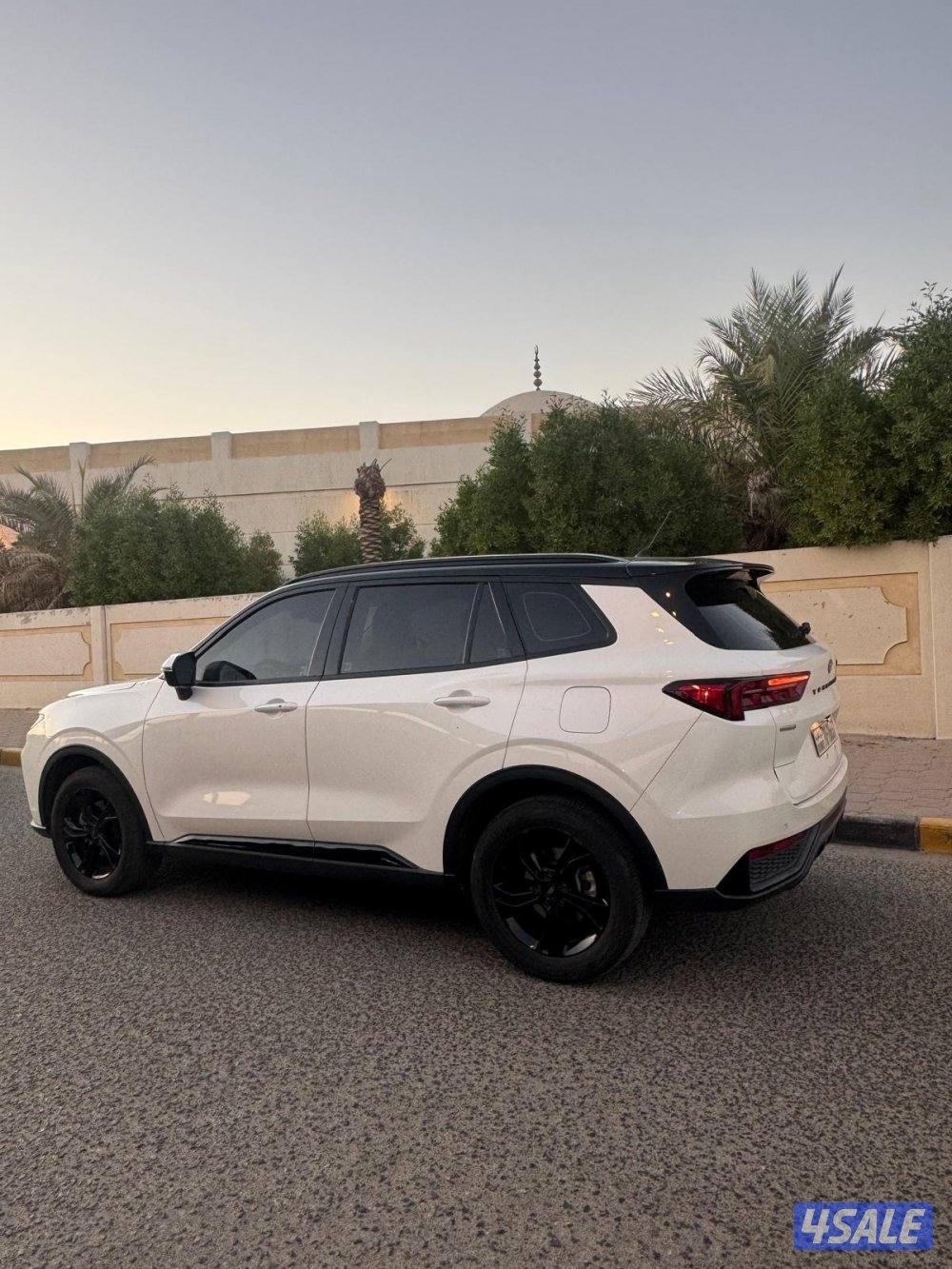 تيريتوري موديل 20236