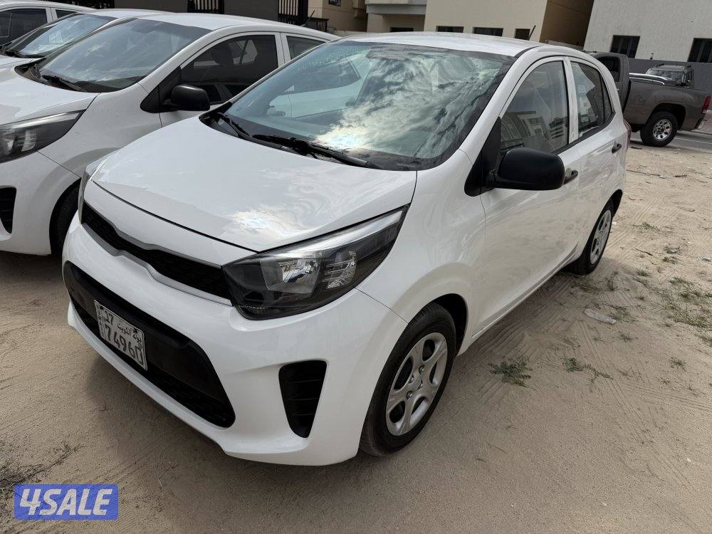 بيكانتو 20190