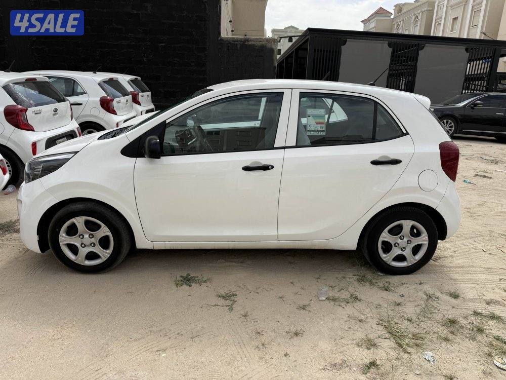 بيكانتو 20191