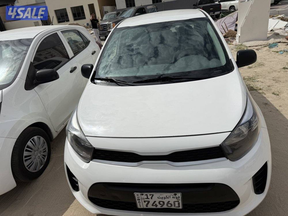 بيكانتو 20192