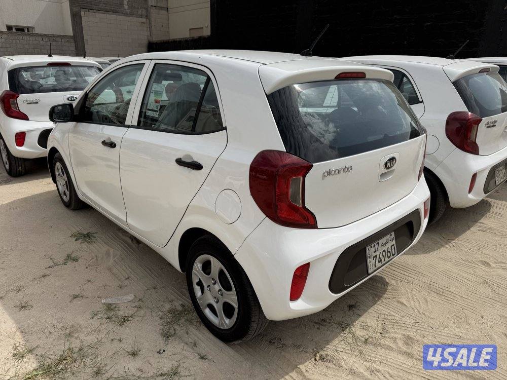 بيكانتو 20194