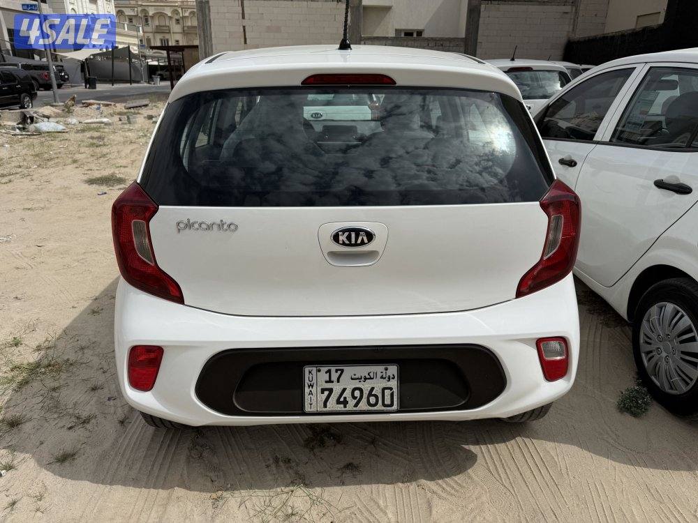 بيكانتو 20195