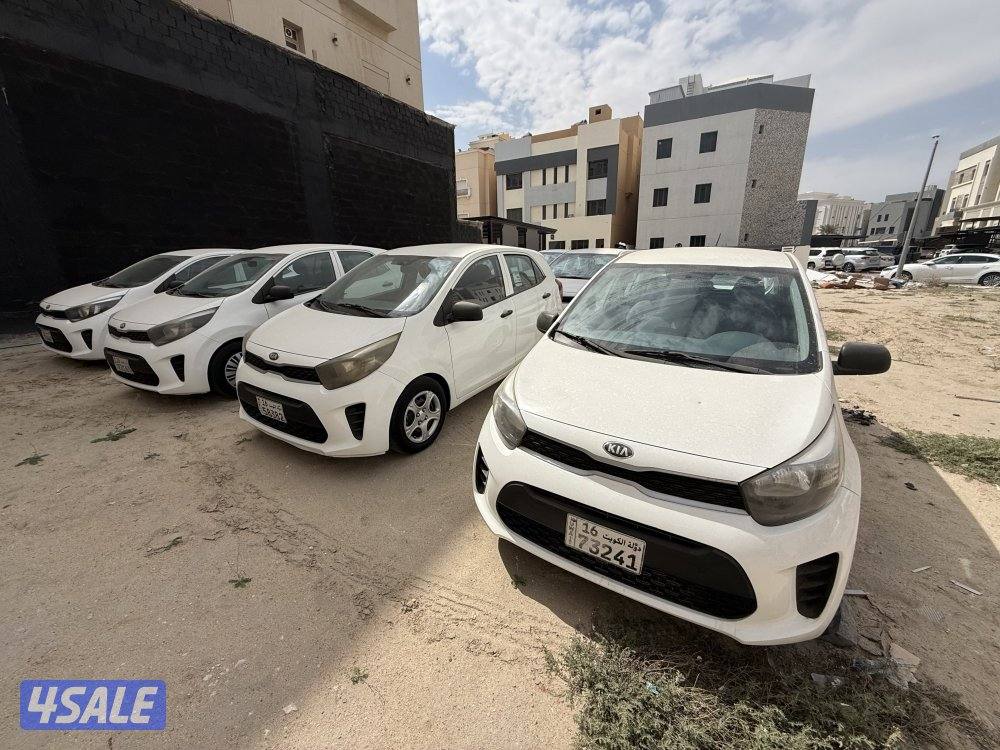 بيكانتو 20198