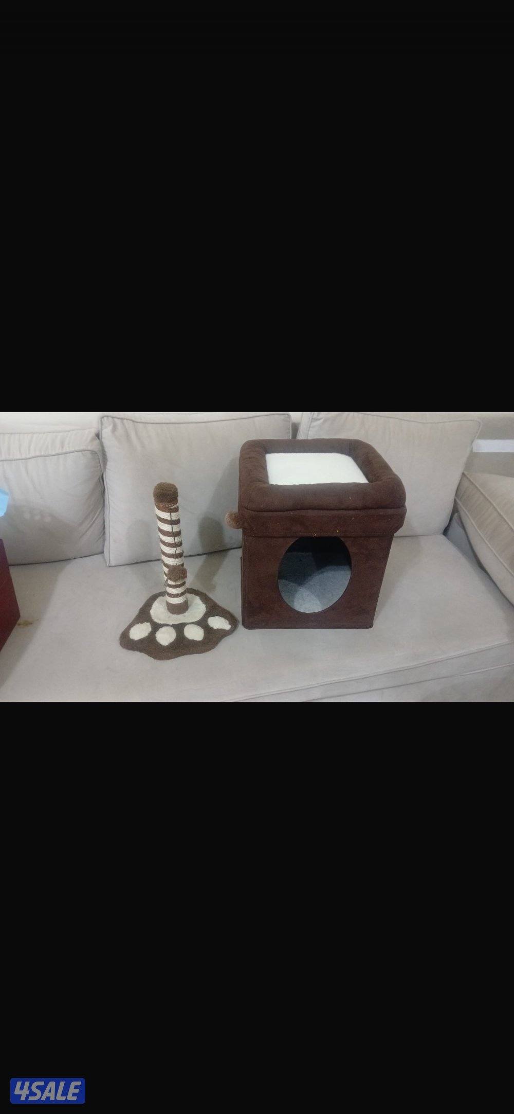 للبيع سكوتش فولد1