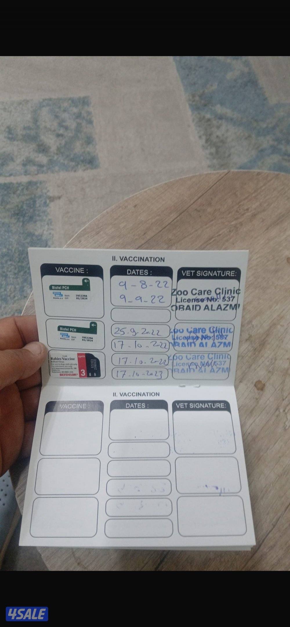 للبيع سكوتش فولد2