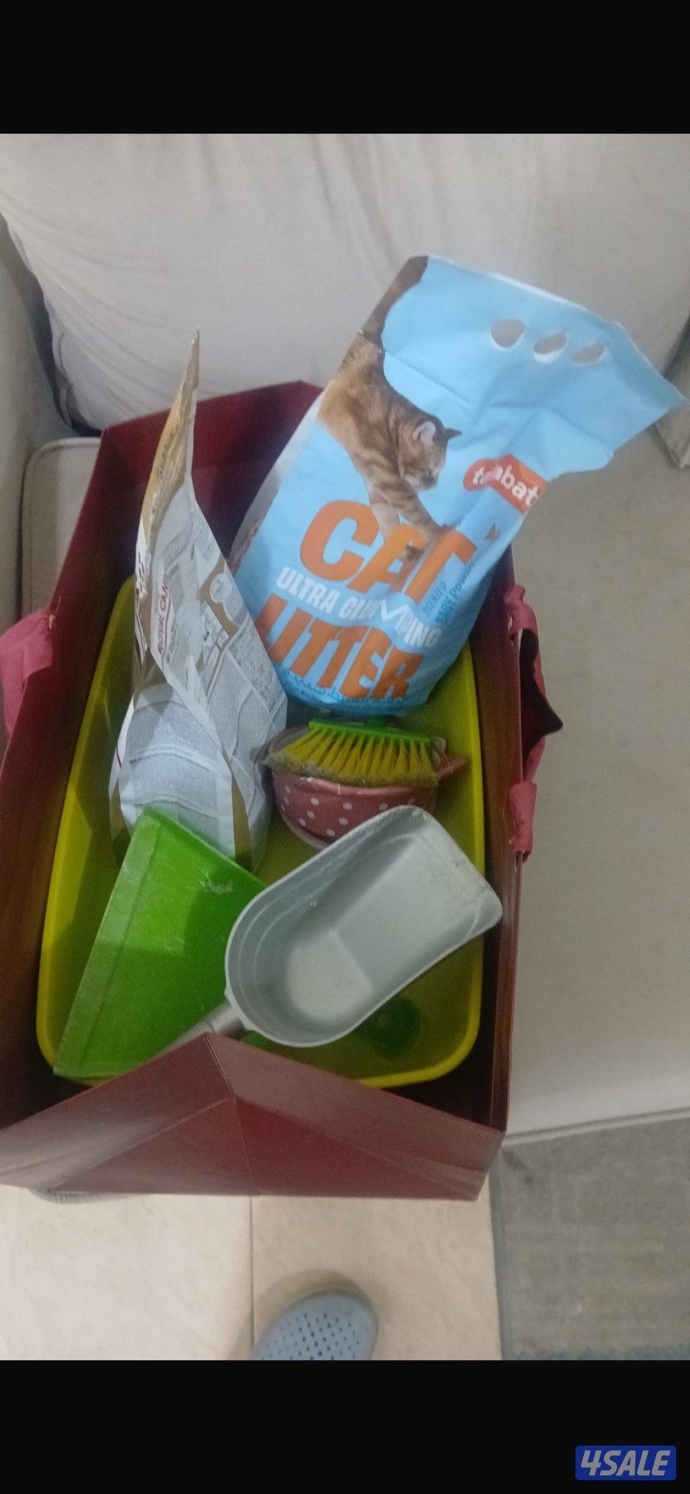 للبيع سكوتش فولد3