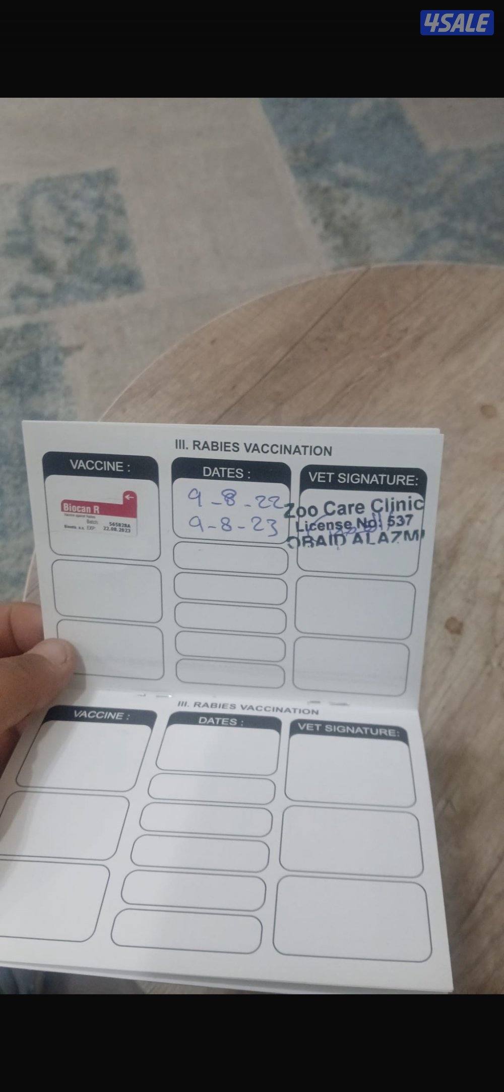 للبيع سكوتش فولد6