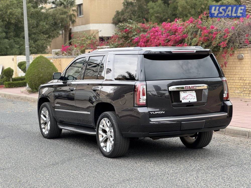 دنالي ٢٠١٧4