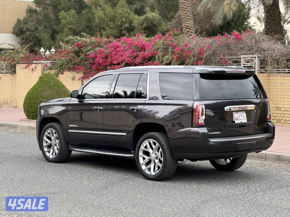 دنالي ٢٠١٧5