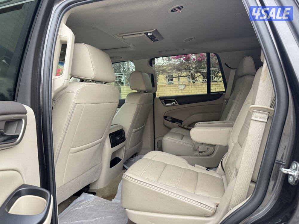 دنالي ٢٠١٧6