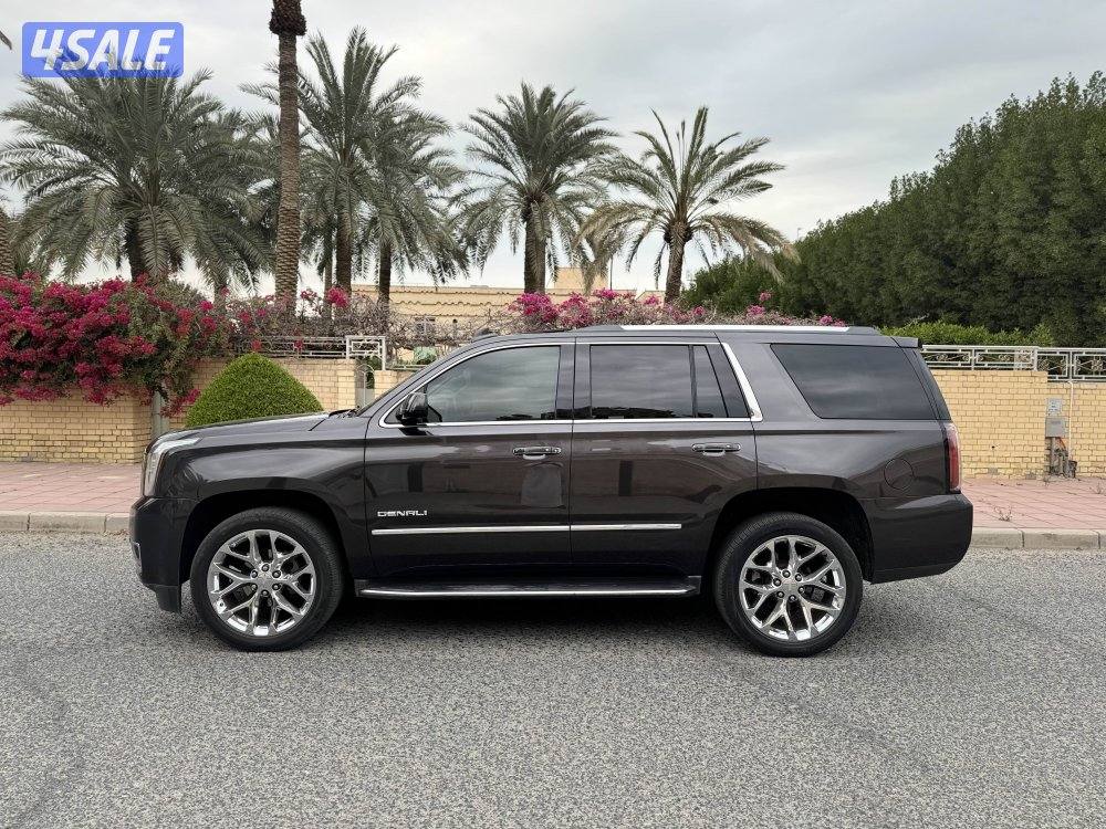 دنالي ٢٠١٧7