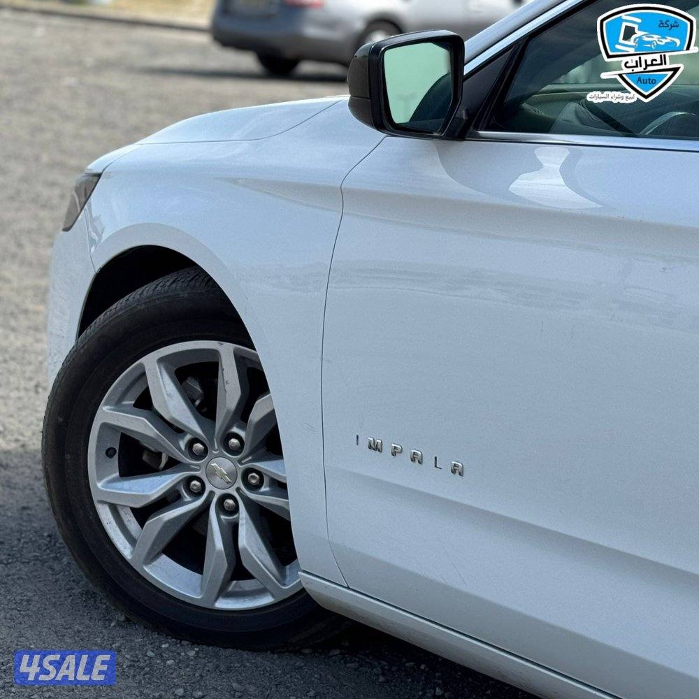 شفر امبالا 20164