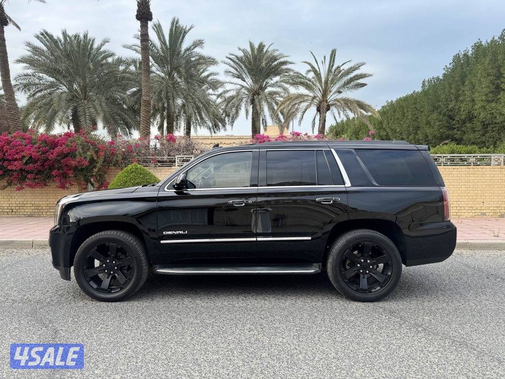 دنالي ٢٠١٧4