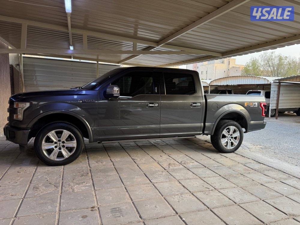 وانيت فورد بلاتينيوم0