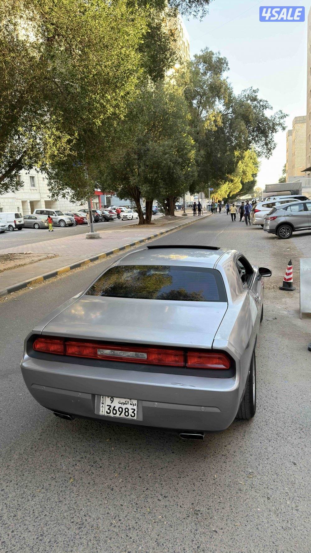 2013. الفل 6 سلندر1